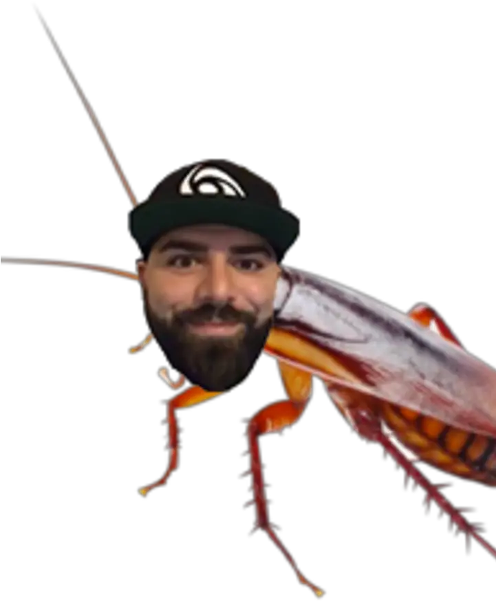 Keemstar Common Apartment Bugs Png Keemstar Png