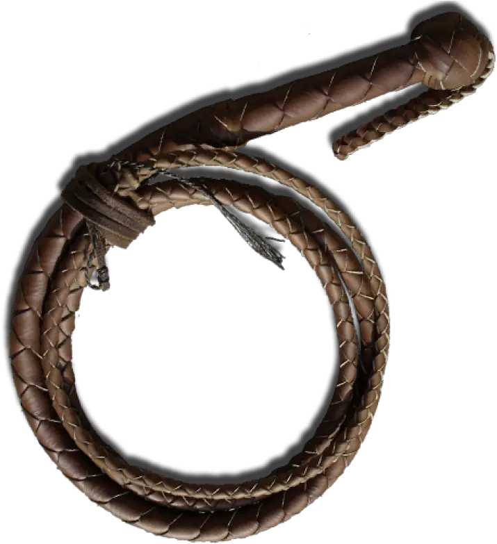 Whip Png Image Indiana Jones Whip Png Whip Png