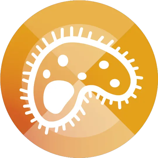 Healthcare Associated Infection Program Australian Nsqhs Standard 3 Png Associated Icon