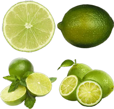 Limes Transparent Png Images Stickpng Lime Slice Lime Slice Png