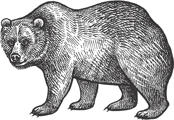 Amenities U2014 Barn Dei Mona Png Grizzly Bear