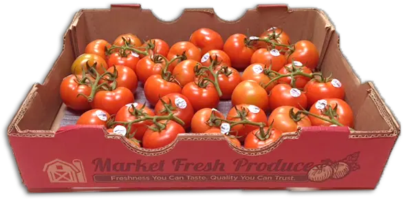 Products U2014 Market Fresh Produce Llc Tomatoes Box Png Tomato Transparent Background