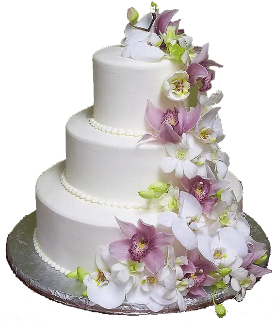 Wedding Cake Png Wedding Cake No Background Wedding Cake Png png