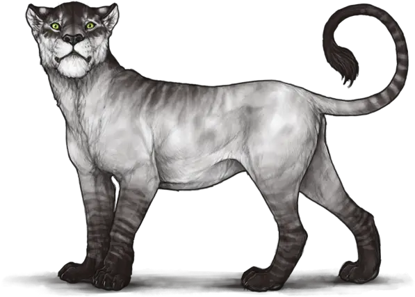 Lioden Wiki Special Markings Lioden Feralis Png Noctis Png