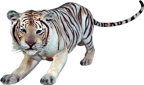 Siberian Tiger Transparent Png Siberian Tiger Transparent Tigers Png