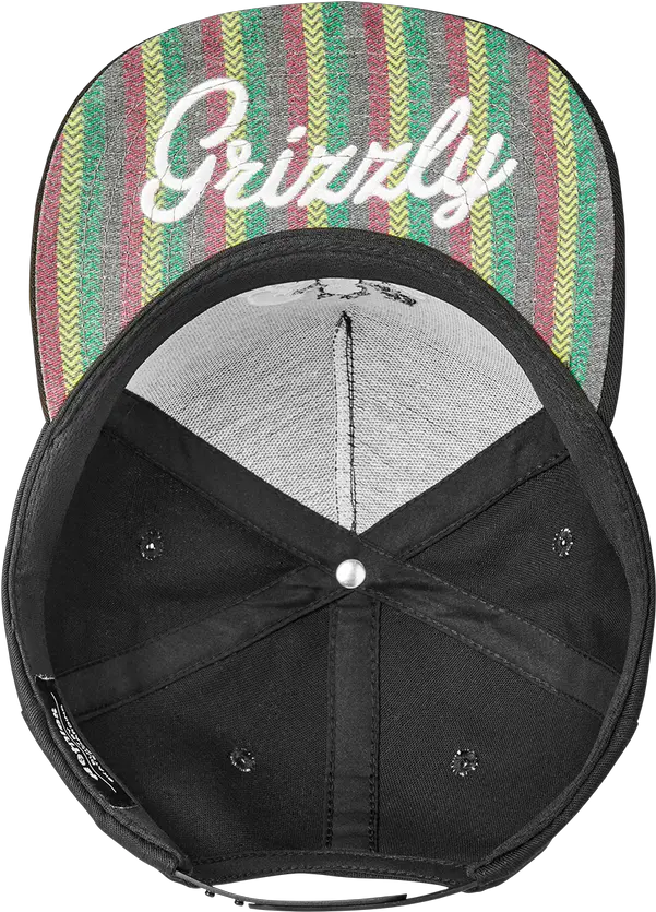 Grizzly Hat Mesh Png Morty Smith Icon