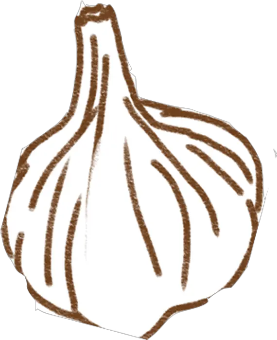 Index Of Imagesno Upload Still Life Photography Png Garlic Icon