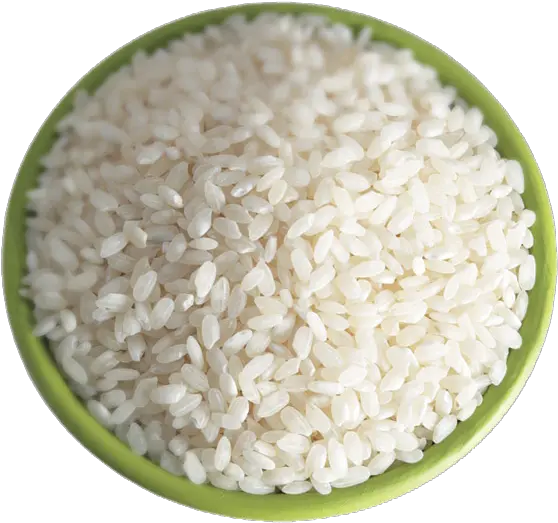 Rice Png File For Designing Projects Rice Rice Transparent Background