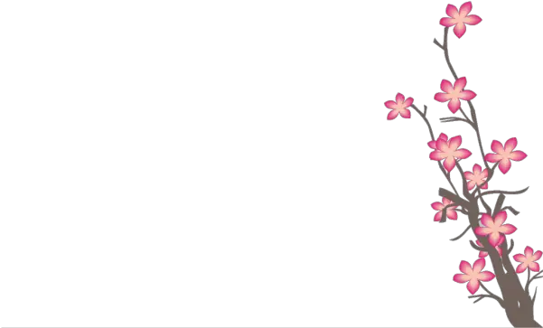 Sakura Leaf Png Transparent Images Background Bunga Sakura Sakura Png