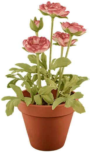 Convert Png To Gif Online Png Tools Potted Plant Transparent Background Plant Pngs