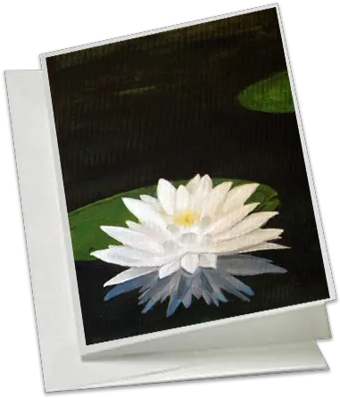 Download Hd Water Lily Water Lilies Transparent Png Water Lilies Lilies Png