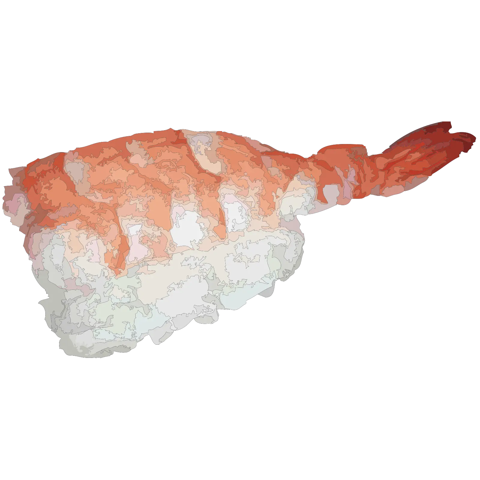 Japanese Sushi Asian Free Vector Graphic On Pixabay Ebi Sushi Png Shrimp Png