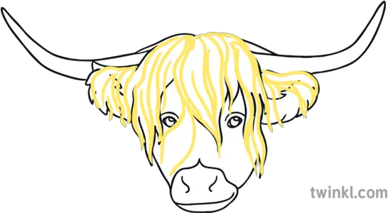 Step 2 Highland Cow Head Steven Brown Ks1 Illustration Twinkl Clip Art Png Cow Head Png
