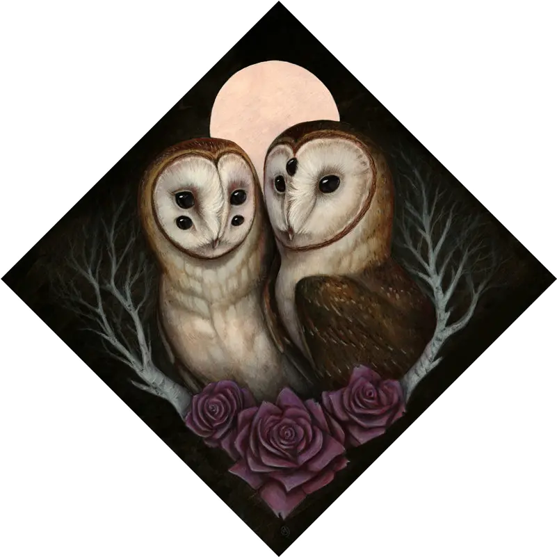 Barn Owl Couple Prints Skullgarden Barn Owl Png Barn Owl Png