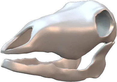 P3d Titanium Ring Png Deer Skull Png