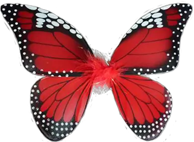 Butterfly Birthday Party Red Butterfly Wings Png Butterfly Wing Png