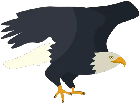 Bald Eagle Flat Illustration Transparent Png U0026 Svg Vector File Bald Eagle Bald Eagle Transparent
