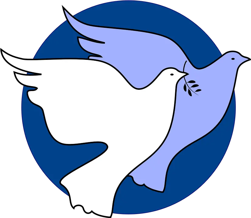 Dove Peace Unity Free Vector Graphic On Pixabay Peace Is In Our Hands Png Unity Png