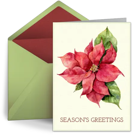 Christmas Ecard Greeting Card Horizontal Png Poinsettia Icon Png