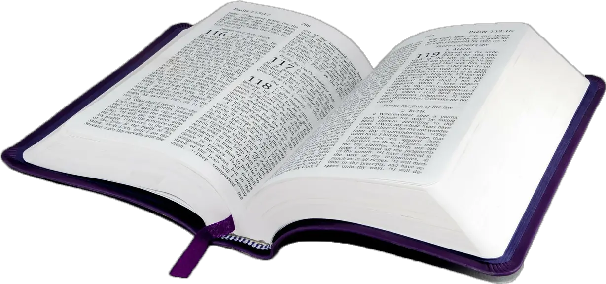 Bible Study Book Religion Religious Text Holy Bible Png Transparent Background Bible Png Bible Clipart Png