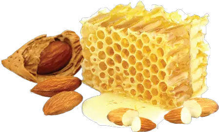 Honey Png Honey And Almond Png Honey Comb Png