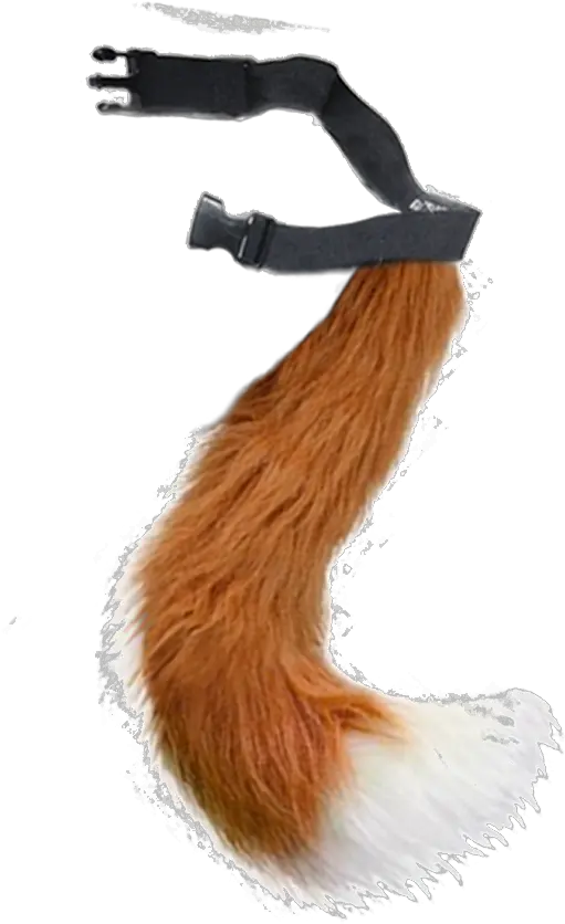 Fantastic Fox 1 Real Fox Tail Png Tails Png