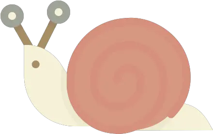 Mollusc Shell Slow Sluggish Snail Icon Snail Png Snail Png