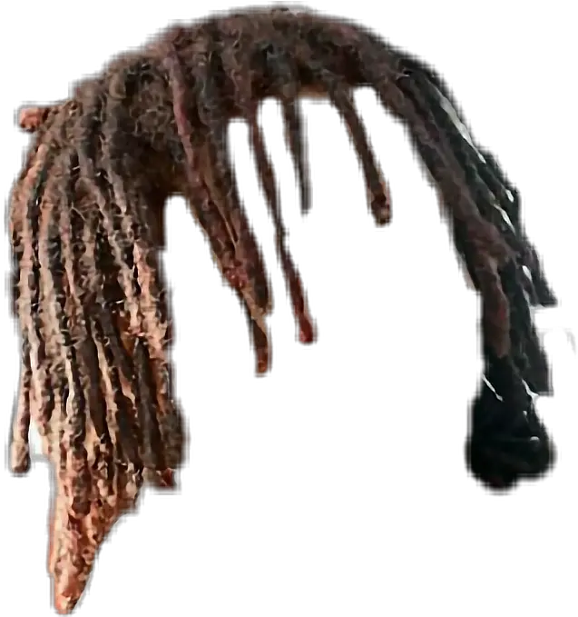 Free Drawing Dreadlocks Tr Transparent Dreads Png Dreads Png