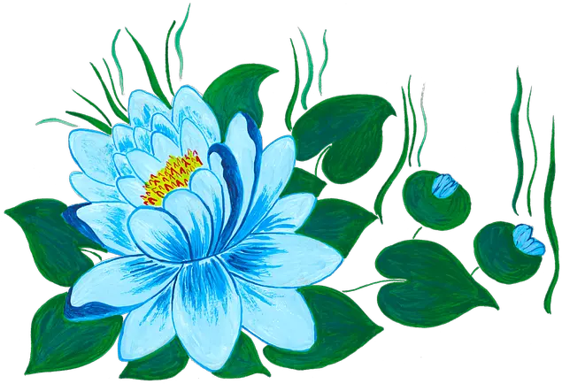 Free Photo Waterlily Water Flower Lily Waterlilies Nymphaea Nelumbo Png Lily Icon