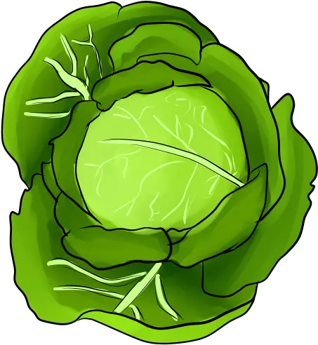 So I Drew A Cabbage By Bodyoftemptation Fur Affinity Dot Transparent Cabbage Emoji Png Cabbage Transparent Background