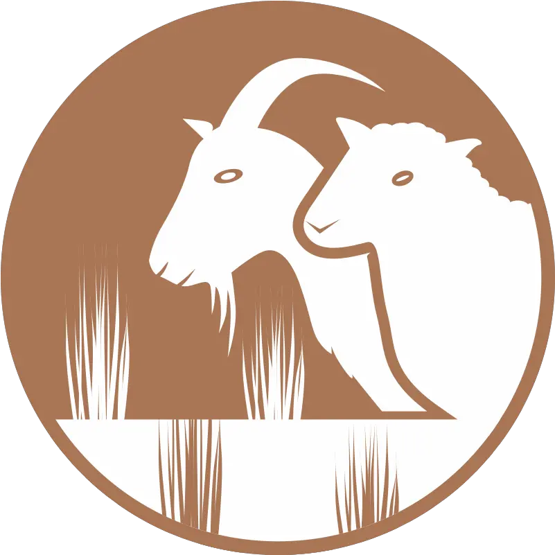Communications Tools And Resources Dryland Systems Png Lamb Icon