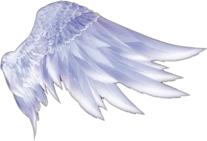 Wing Icon Angel Wings Png Wing Png
