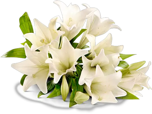 Place Flower For Rip Png Rest In Peace Png