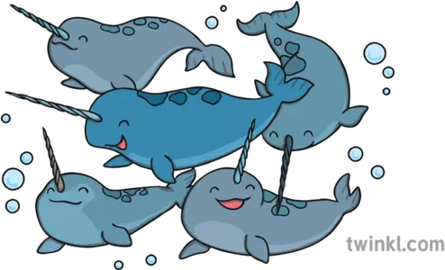 What Is A Narwhal Answered Twinkl Teaching Wiki Fish Png Narwhal Icon