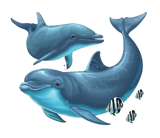 Dolphin Png File Under The Sea Dolphin Full Size Png Dolphin Png Under The Sea Png