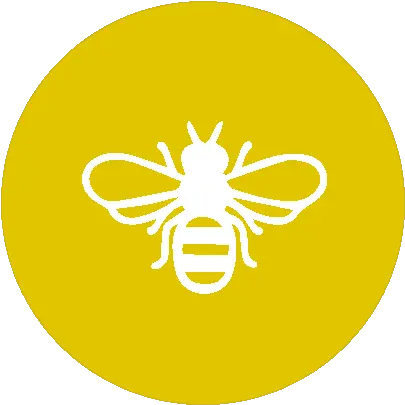 Blog U2014 Klydie Bee Honey Bees Png Bee Icon Vector