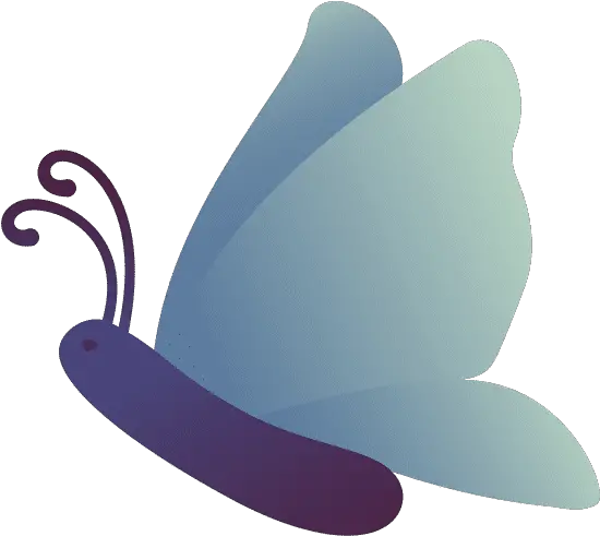 Victoruler U2013 Canva Girly Png Icon Butterfly Helmet