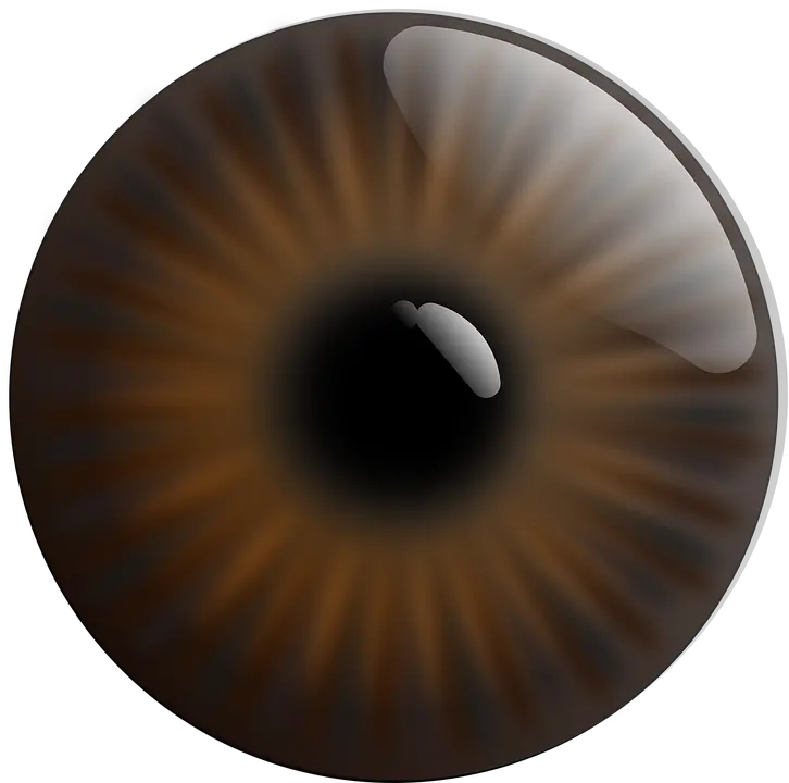 Dinosaur Eye Png