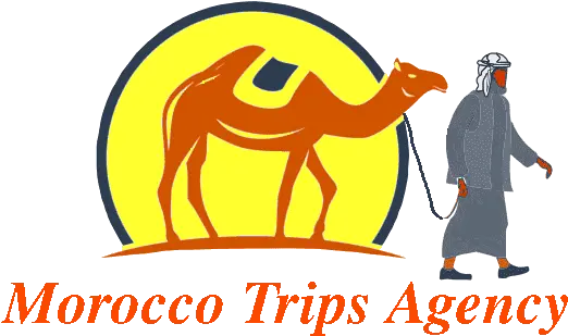 Vacation In Morocco Arabian Camel Png Camel Logo