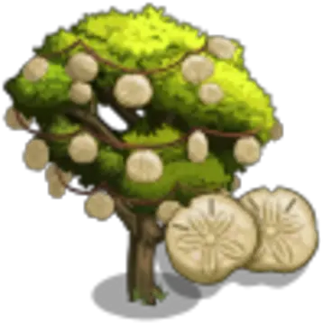 Sand Dollar Tree Farmville Wiki Fandom Fruit Png Sand Dollar Icon