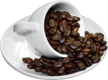 Download Coffee Beans Cup Coffee Cup Beans Transparent Background Png Coffee Beans Transparent