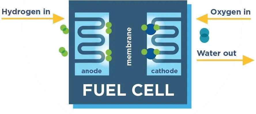 Fuel Cell U0026 Hydrogen Energy Association Does Hydrogen Fuel Cell Work Png Cell Png