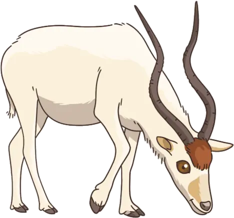 Antelope Addax Sticker Antelope Addax Discover U0026 Share Gifs Reindeer Png Deer Icon Tumblr