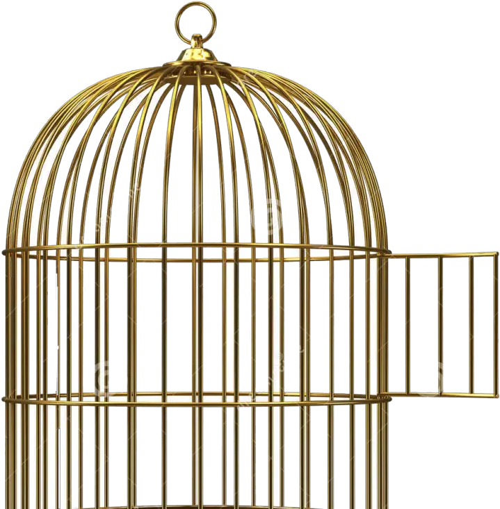 Clip Art Birdcage Png Cage Png