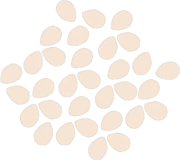 Light Roast Tahini Our Bestseller Tahini Product Soco Tahini Dot Png Twitch Subscribe Icon