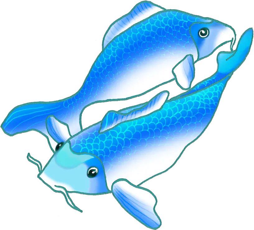 Chinese Fish Drawing Free Download Blue Fish Gif Transparent Background Png Koi Fish Png