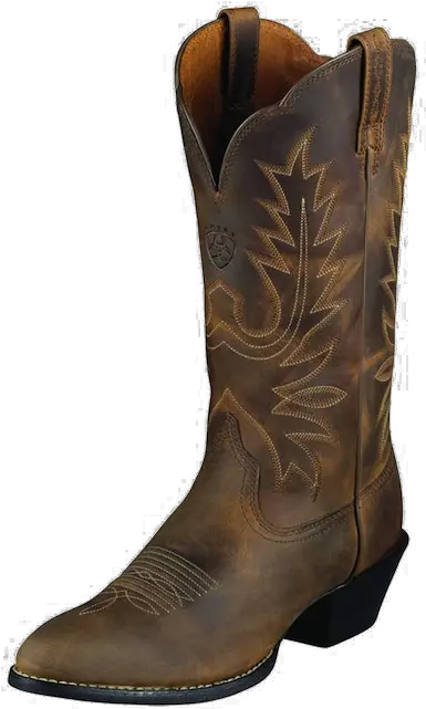 Cowboy Boot Png Image With Transparent Cowboy Boot Boot Transparent