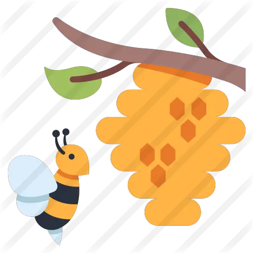 Honeycomb Free Animals Icons Outside Activities For Kids Png Beehive Png