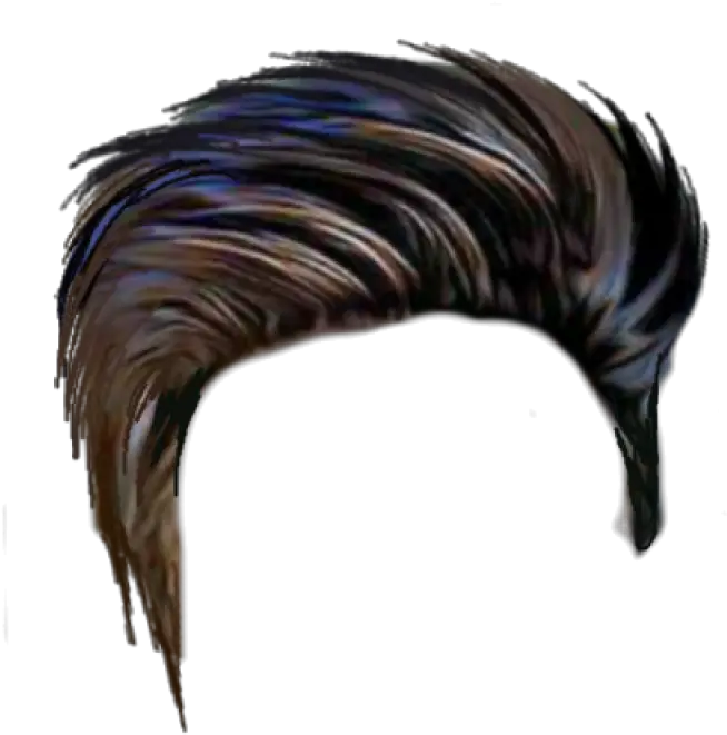 Hair Png Image Hair Style Png Hd Skunk Transparent