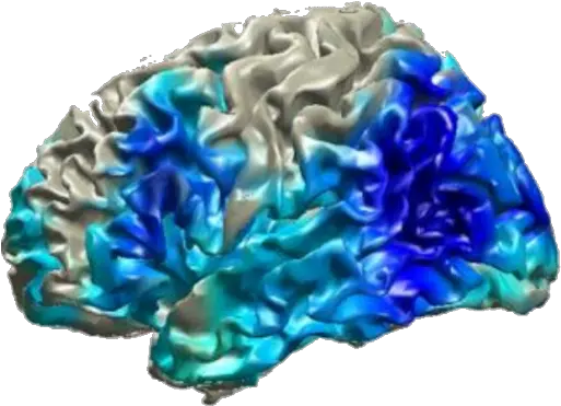 Vitória Piai Lab Brain Png Brain Goal Icon